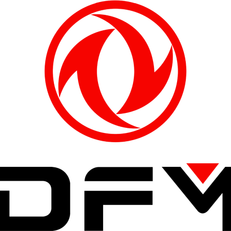 DFM